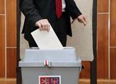 SPOZ a Národní Socialisté do voleb jako koalice Zemanovci