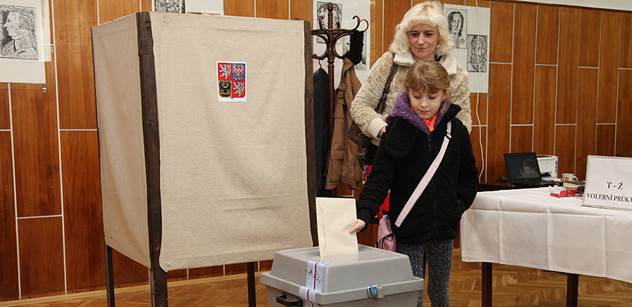 Profesorka Dvořáková uvedla, koho potěší větší volební účast