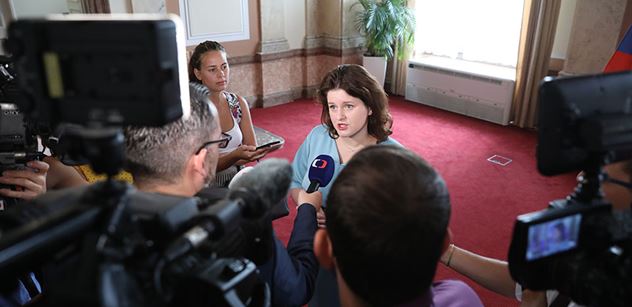 Růžena Chrasteková: Kolik komisí, rad atd, zřídí ještě ministryně Maláčová