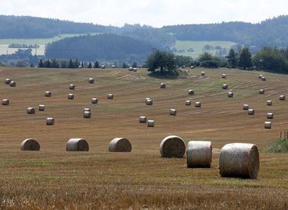 Změna dotační politiky v zemědělství. Střední a malé farmy jásají