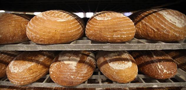 Světový den chleba v České republice