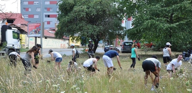 Praha 8: V ulici Pod Plynojemem vzniká nová komunitní zahrada
