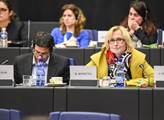 Konečná (KSČM): Evropská komise představila další vágní návrh