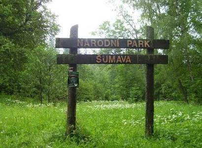 NP Šumava: Správa parku vypsala výběrové řízení na práce v lesích na další dva roky
