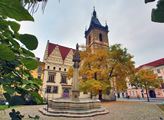 Praha 2: Přibudou nové zahrady ve vnitroblocích i zahrádky pro nejmenší
