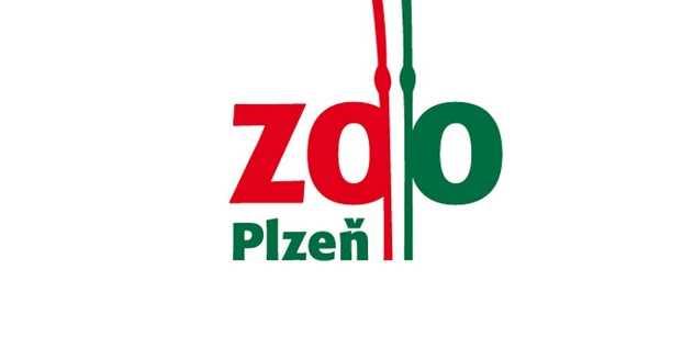 Zoo Plzeň: Další dikobrazí mládě kuandu je sameček