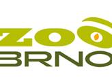 Zoo Brno zvelebí stáje pro žirafy a očekává příchod samce ledního medvěda