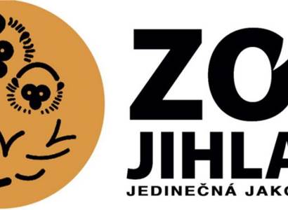 Zoo Jihlava: Vzácná mláďata v Jihlavě! V zoo se narodily hyeny
