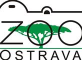 Zoo Ostrava: Mláďata u vzácných ibisů skalních