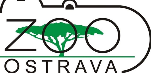 Zoo Ostrava: Pastva velkých kopytníků – klíčová metoda péče o velké krajinné celky