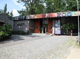 Zoo Liberec: Historicky první liberecký přírůstek u mravenečníka velkého
