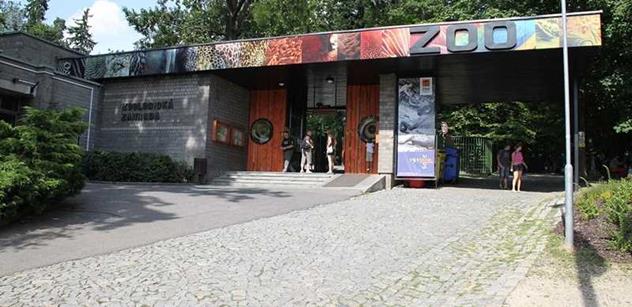 Liberecká zoo: Křest tygřat dal tygrům jména, přišlo přes pět tisíc lidí