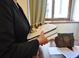 Petice za dostavbu dvojice dálnic na Moravě, kterou brzdili ekologové, dostala zelenou od dalšího senátního výboru