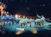Ochránci zvířat: V cirkusech je na zvířata nahlíženo jako na nástroje zisku a je s nimi tak také zacházeno