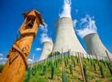 ČEZ: U Jaderné elektrárny Dukovany roste největší jaderná vinice