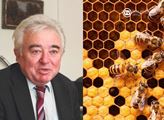 Regionální TV: Včelám chybí pylová pestrost a to snižuje jejich imunitu a ony pak hynou...