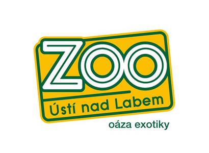 Zoo Ústí nad Labem: Samici orangutana bornejského Cantik se v Zoo Rostock daří dobře