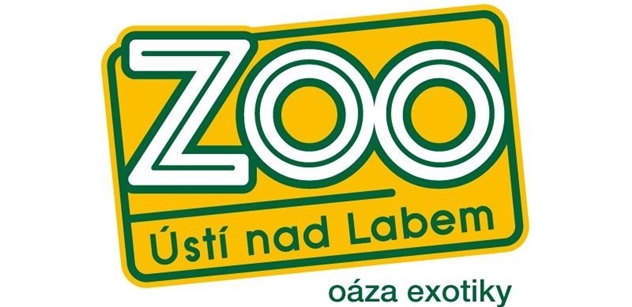 Zoo Ústí nad Labem opustí obě samice orangutanů. Jedna půjde do Německa, druhá do Norska