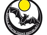 Správa jeskyní ČR: Příjezdová silnice k Jeskyni Na Špičáku je v rekonstrukci