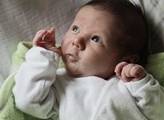 V porodnici ústecké Masarykovy nemocnice se narodila první letošní trojčátka