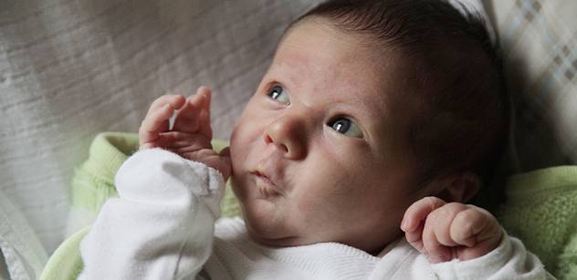 V jihočeských porodnicích se v loňském roce narodilo 6346 dětí
