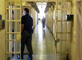 Skoro pět set amnestovaných už je zpátky za mřížemi