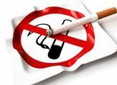 Zákaz kouření v restauracích má být od ledna 2014