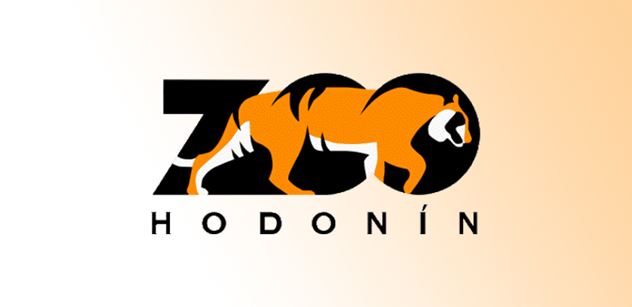 Zoo Hodonín: Narodilo se nám mládě vzácného adaxe núbijského