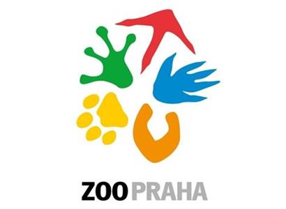 Zoo Praha: Želva s příběhem jak z Hollywoodu