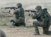 Vláda bude jednat o nasazení vojáků při střežení muničního skladu