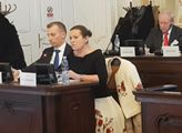 Státní zástupci a servilní média se opět zviditelňují na ponižování Aleny Vitáskové. Hovoří předseda spolku, bojujícího za spravedlnost