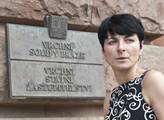 Bradáčová jasně u Veselovského: Nelíbí se jí zveřejňování odposlechů