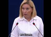 „Vy dáte obranu SPD?“ Velký nářek od Nerudové, Němcové a Fialova zetě