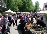 Výstaviště Flora Olomouc: Festival Vyznání růžím si užilo na pět tisíc návštěvníků