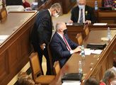 Premiér Andrej Babiš a ministr zdravotnictví Roman...