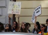 Protest před ambasádou Brazílie proti kácení deštn...