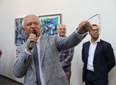 Řepka jako inspirace: Prostějovák Faltýnek z ANO představil v Praze své obrazy. Prý by se tím uživil, spekuloval historik umění