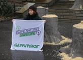 Happening Greenpeace, který upozornil na devastaci...