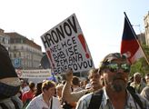 Demonstrace proti premiérovi Andreji Babišovi a mi...