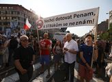 Demonstrace proti premiérovi Andreji Babišovi a mi...