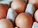 Ceny vajec na předvelikonočních letácích jsou na osmiletém minimu. Vajíčka z eko-chovů téměř vymizela