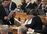 Senátorka Dernerová: Když neumí lékař česky, tak je to velká svízel