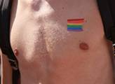 Prague Pride dnes: Diskuze o potížích homosexuálních diplomatů,  moderní tanec i tiché disko