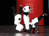Oslavy Čínského nového roku ve znamení myši