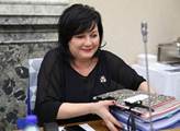Ministryně Schillerová: Navržená daň z digitálních služeb bude daní obratovou a ne příjmovou