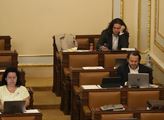 Oldřich Rambousek: Parlament je politická žvanírna, kde sedí odborníci na všechno a jsou zbyteční