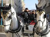 Protest proti omezení provozu koňských povozů v Pr...