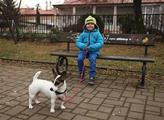 Veterináři v Brně denně čipují desítky psů, zájem vrcholí