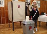 Nízká volební účast zkreslila výsledky předvolebních odhadů