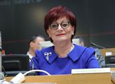 Kislingerová (ANO): Praha schválila podmínky poskytování dotací na ekologické vytápění